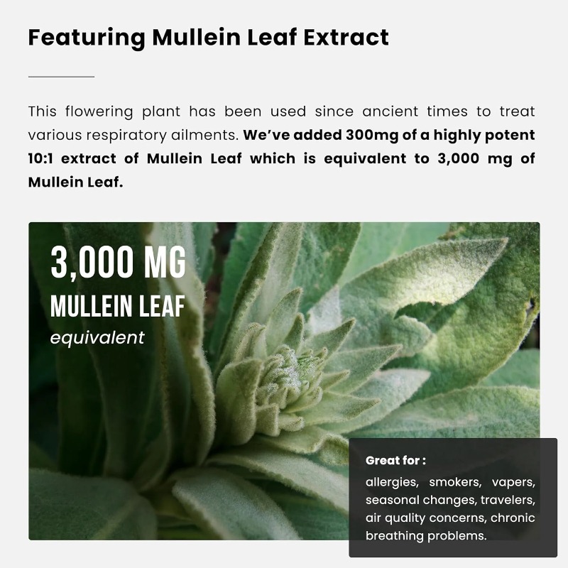 Mulleinbladextract - Longreini - Herbal Supplement recensie en prijs